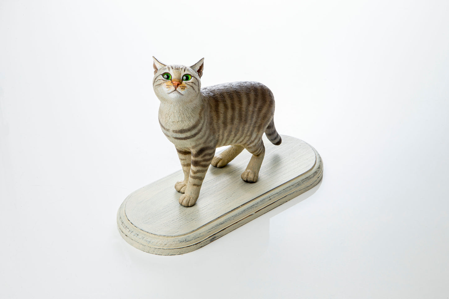 【松本雅之】棕褐色的猫咪抬头仰望