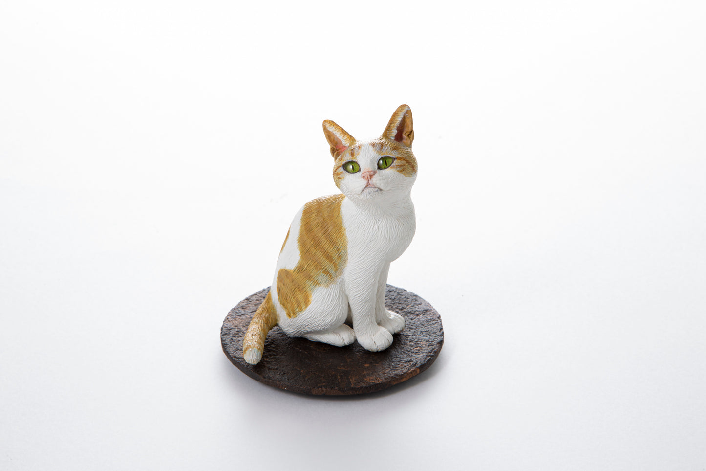 【松本正行】仔猫(茶白)