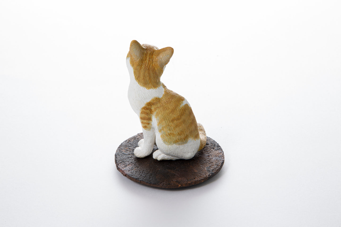 【松本正行】仔猫(茶白)