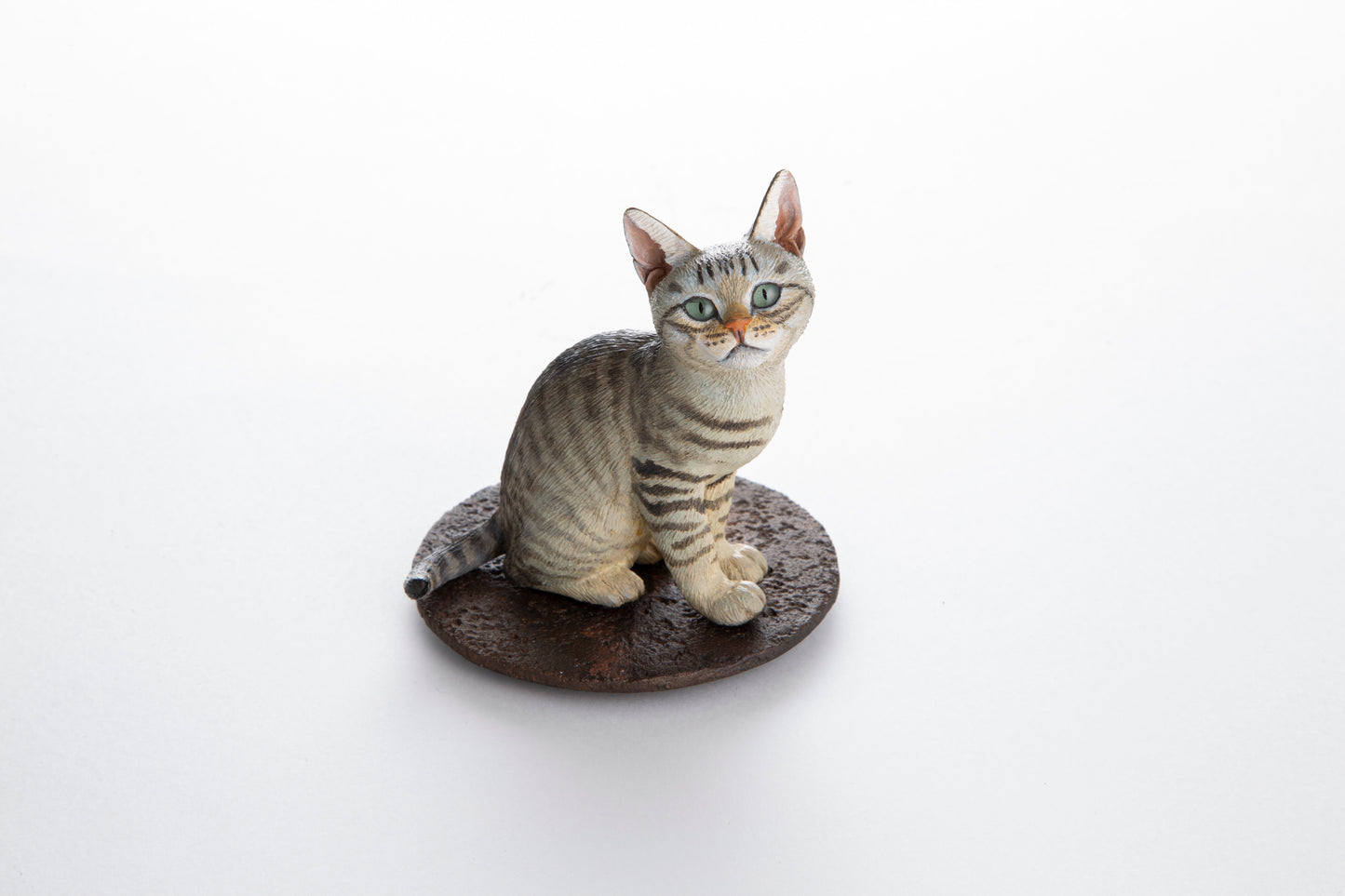 【松本正行】仔猫(キジトラ)