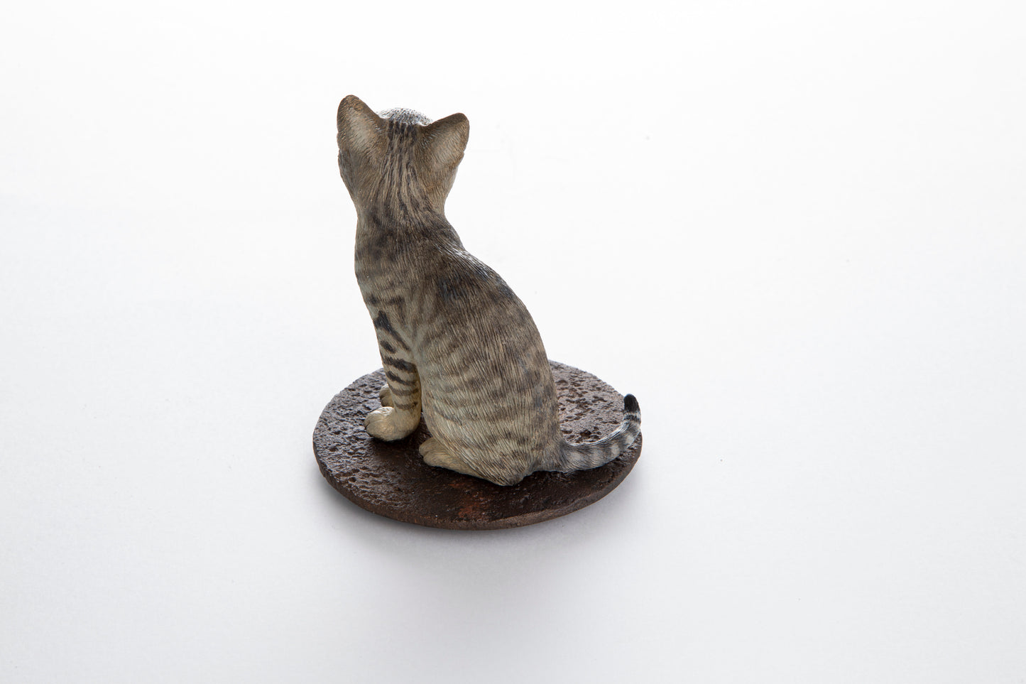 【松本正行】仔猫(キジトラ)