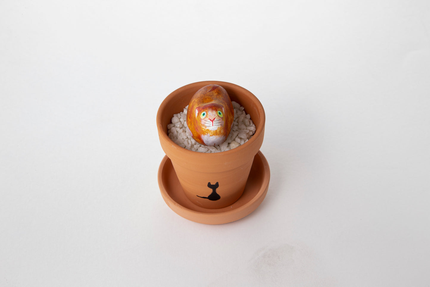 【FELISTONE】玉石〈小b〉(鉢入り)
