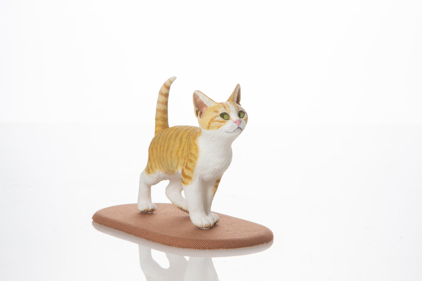 【松本正行】歩く子猫