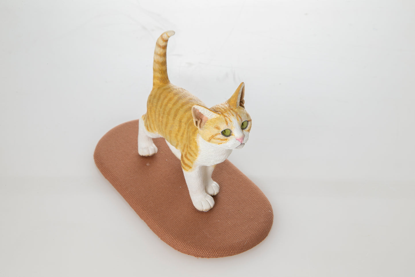 【松本正行】歩く子猫