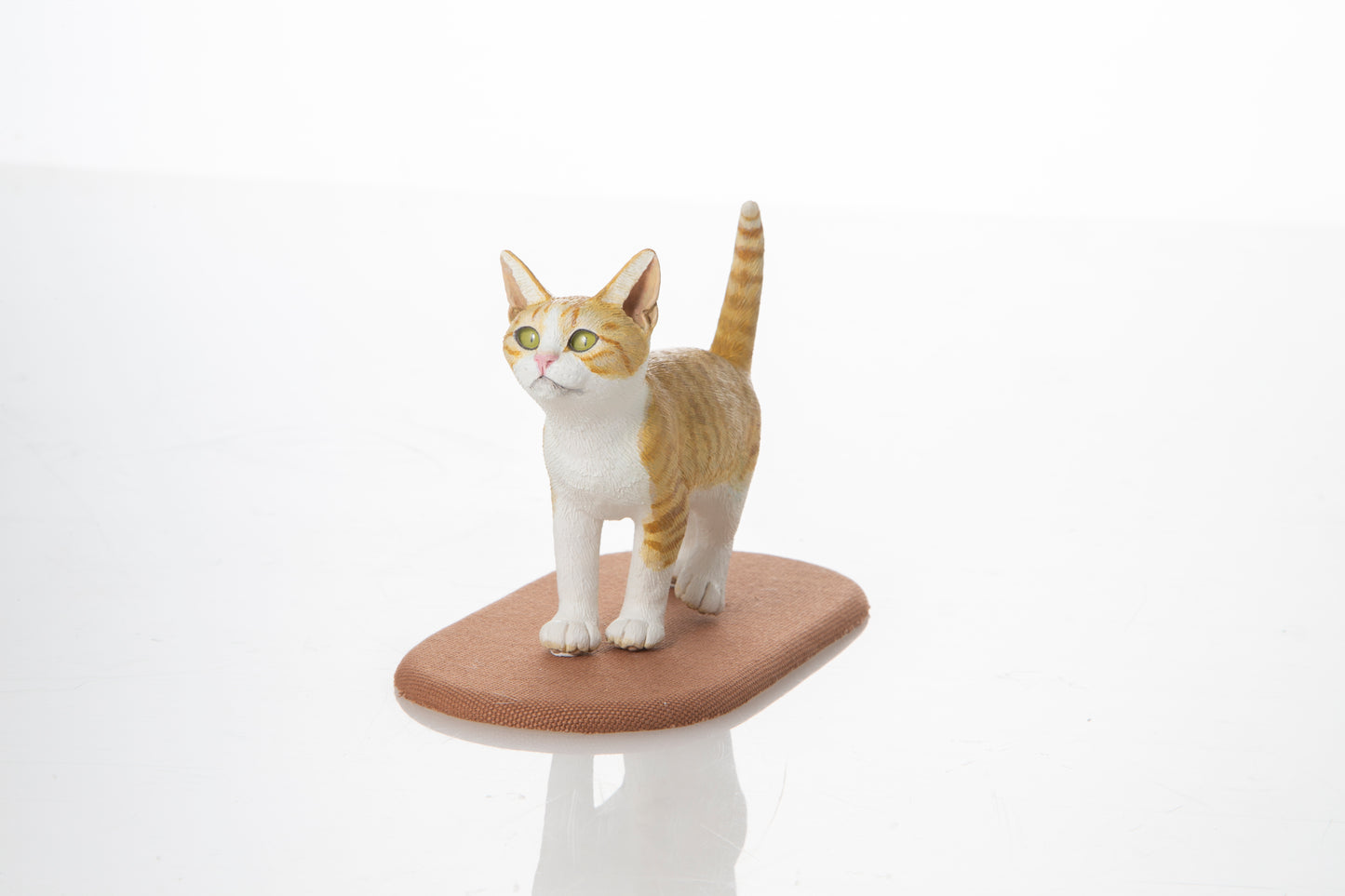 【松本正行】歩く子猫