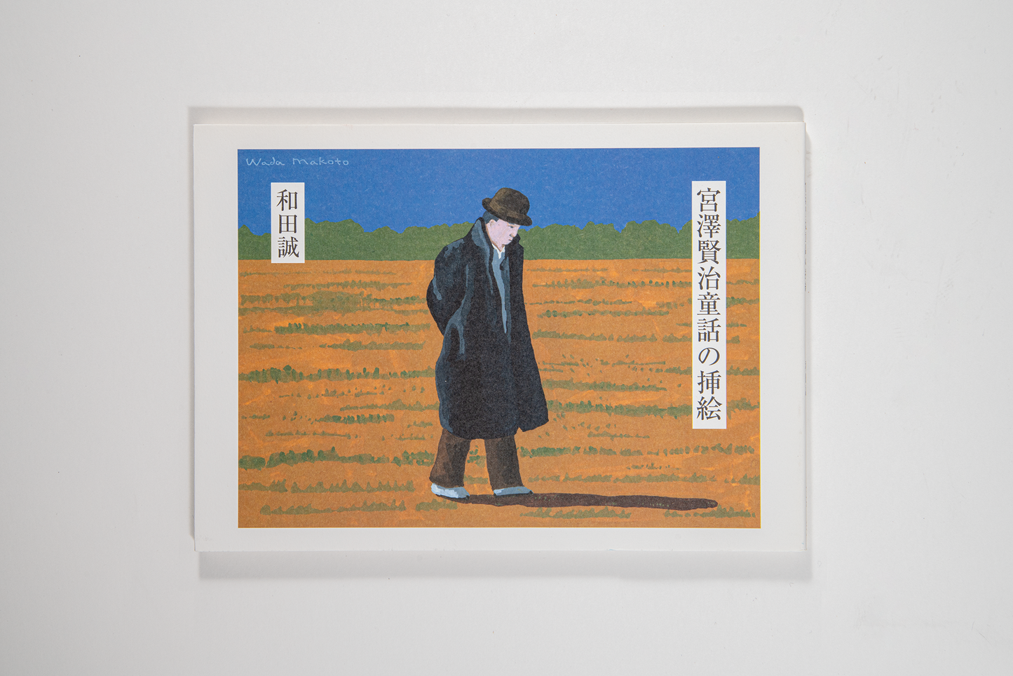 【Tom's Box | Makoto Wada】宫泽贤治童话插画